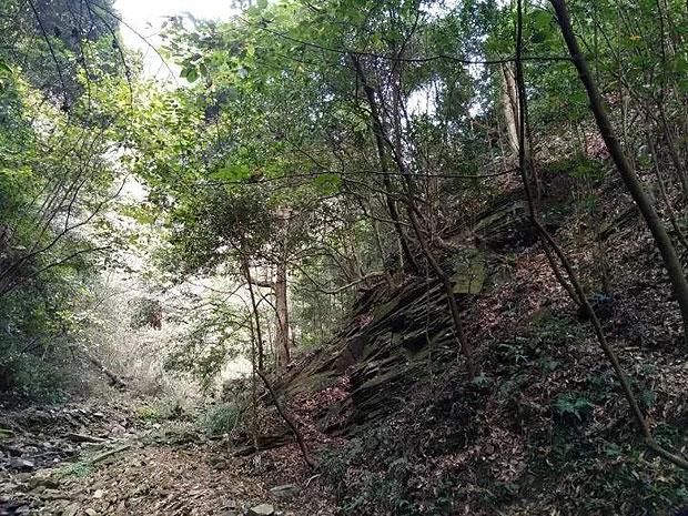 救援青龙